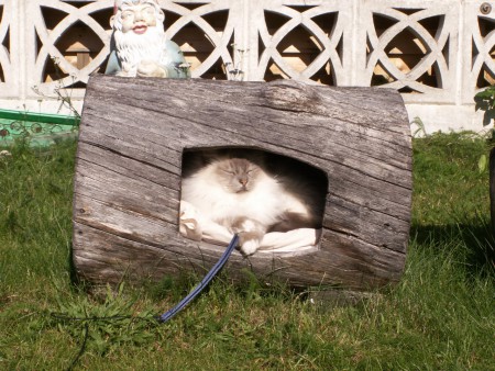 Ossi Inarissa honkamajassaan