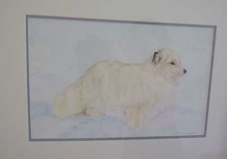 Naalin talvi, akvarelli